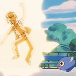 Pokémon: Master Quest 🏞️