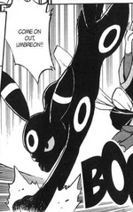 Umbreon is Greta's main Pokémon and Greta used it against Guile Hideout and in the battle against Emerald.