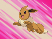 As an Eevee