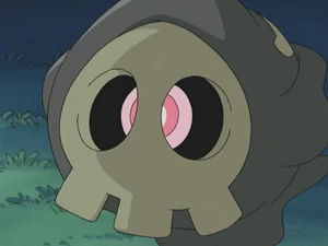 Timmy's Duskull.