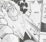 Onix is used mainly by Bruno during his fights between Red, and Lt. Surge and Bill. In these fights, Onix was shown to be a proficient fighter, and is impervious to Water-type moves, despite the fact that Rock Pokémon have a weakness to water moves. It also comprises the main battleground upon which Lt. Surge and Bill fought against Bruno.
