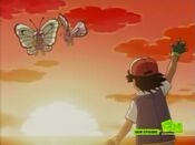 Ash's memories of Butterfree