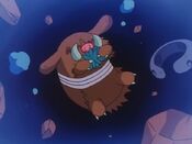 Piloswine fell down with the herbs