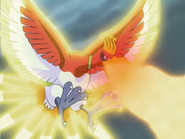 Sacred Fire being used by a wild Ho-Oh.
