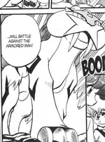 Anabel caught Raikou in Johto. She used it in her battles against Guile Hideout, as well as against Emerald in the Battle Tower.