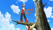 Meyer Mega Blaziken