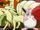 Neesha's Ninetales