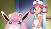 Nurse Joy suggests searching the meadow