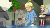 Clemont sends out Bunnelby and tells Bunnelby that he will be partnered up with Eevee during the dance