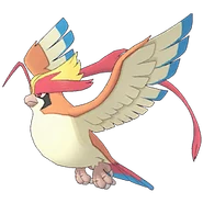 0018Pidgeot Mega Masters.png (33 KB)