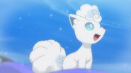 As a Vulpix