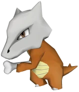 0105Marowak Pokémon PokéPark.png (137 KB)