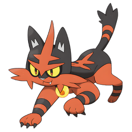 0726Torracat