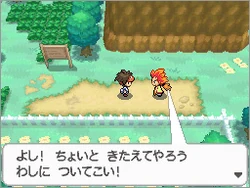 Pokemon Black And White Version 2 Pokemon Wiki Fandom