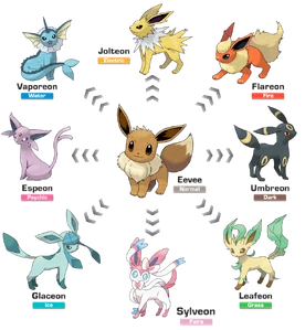The various evolutions of Eevee