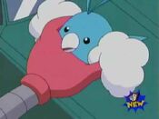 Swablu gets captured