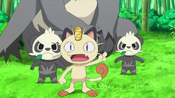 Meowth translates Pancham's demands