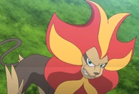 Lysandre Pyroar anime.png