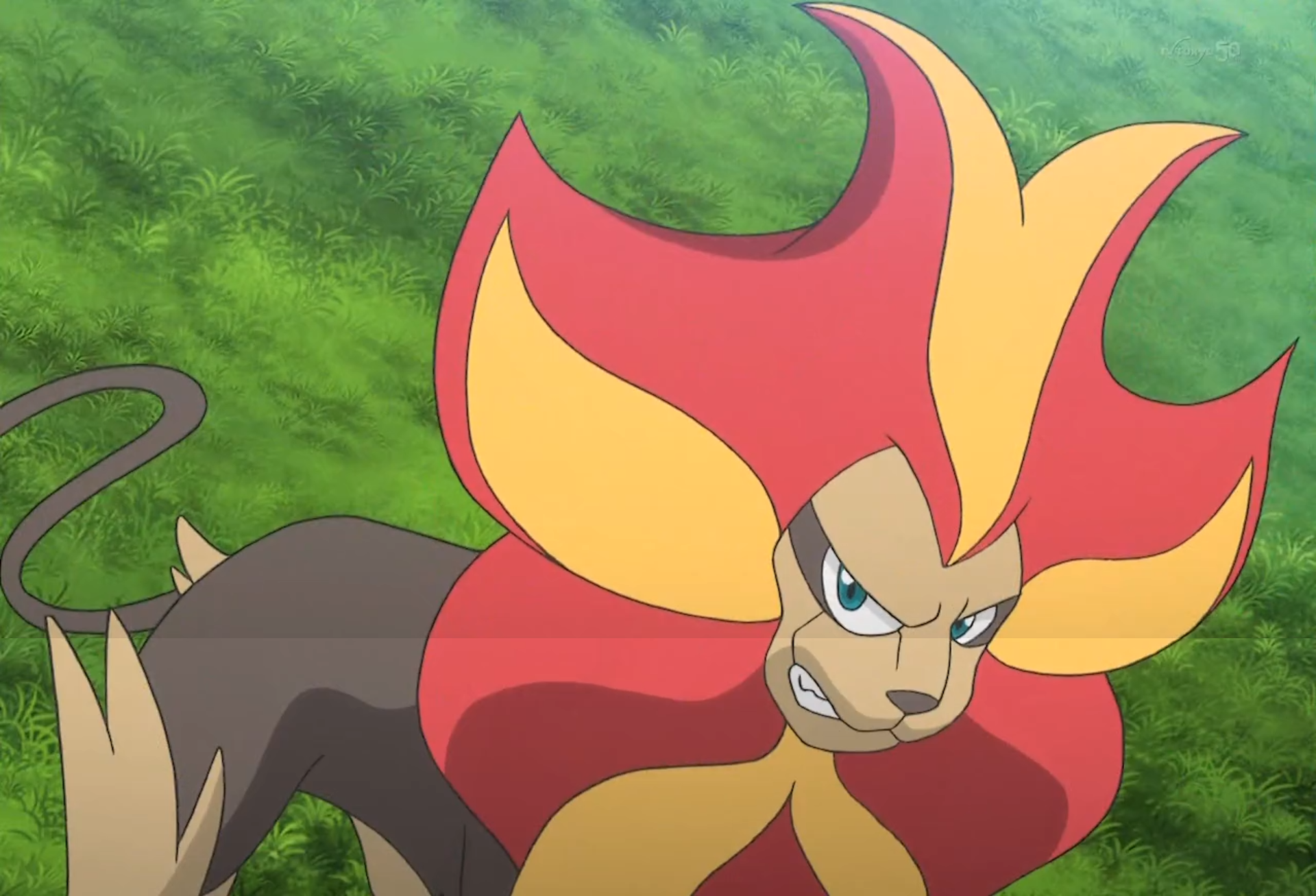 Lysandre S Pyroar Anime Pokemon Wiki Fandom