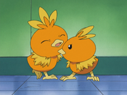 Nurse Joy Torchic Peck