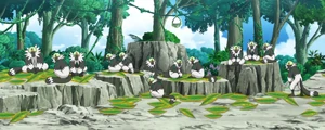 Passimian in the anime.