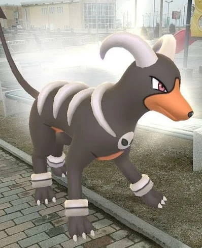 Haundum Pokemon Wiki Fandom