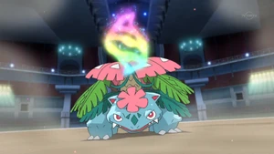 A Mega Venusaur in the anime.