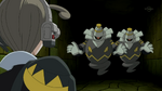 Conley fought and calmed down the two Dusknoir, who are guardians of the arena.