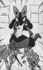Riolu is probably the only fighting type on Hareta's team. It was first an egg given from a man named Riley who lives on Iron Island. It hatched after a short while. During a battle with Candice, it evolved to defeat her Regirock and Regice.