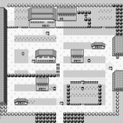 Pewter City, PokeMMO Wiki