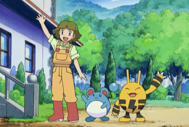 Watch Pokemon Season 13 Episode 1 : Regaining The Home Advantage