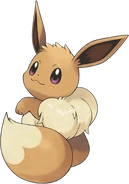 Female Eevee.png (32 Кб) Female Eevee