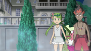 Mallow and Kiawe