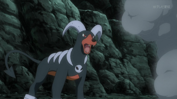 Ninja Houndoom