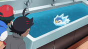 Piplup swimming