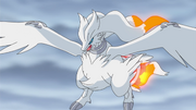 Reshiram anime