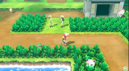 Kanto Route 6 in Let's Go Pikachu and Eevee