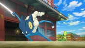 Frogadier defeats Treecko