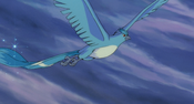 Articuno M02