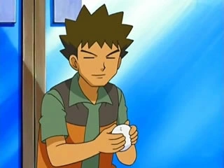 Oval Stone Pokemon Wiki Fandom