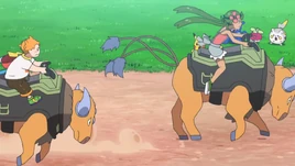 Poké Ride Tauros