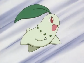 Chikorita, Pokémon Wiki