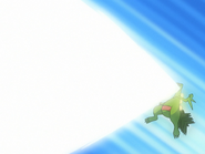 Sceptile using SolarBeam