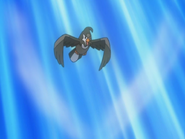 Gust being used by Ash's Staravia.