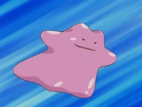 Brodie's Ditto.png