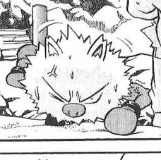 Chuck S Primeape Pokemon Wiki Fandom