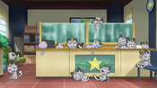 The Alolan Meowth are lingering at the police station