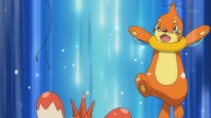 Soren's Buizel.