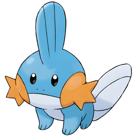 0258Mudkip