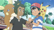 Ash and Hau